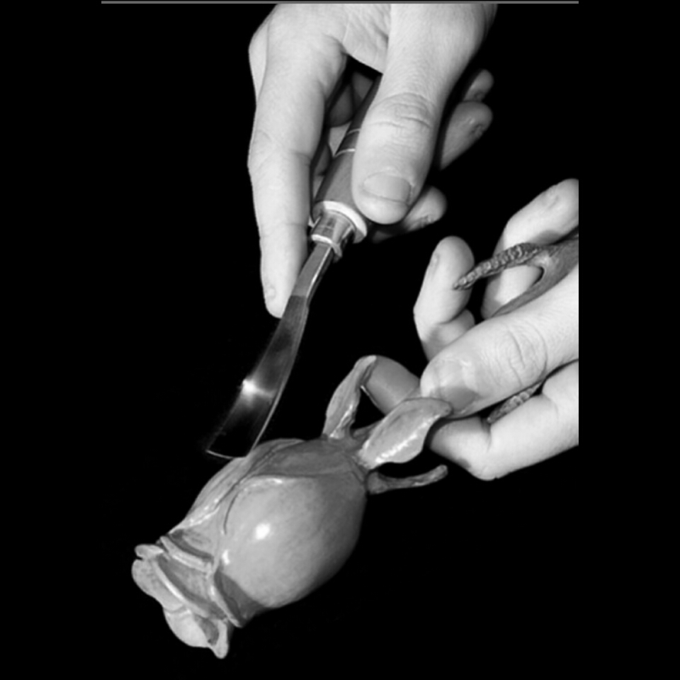 Escultura completa 'La Razón de mi Vida' - Vista frontal mostrando los detalles de la talla en madera